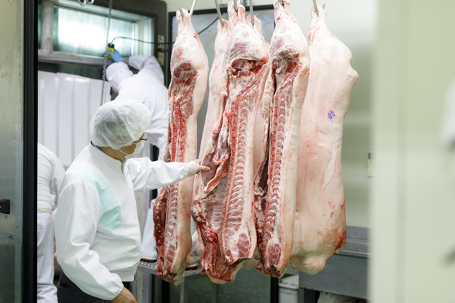 豚肉の目利きをするオイタミート代表取締役及田賢治の写真